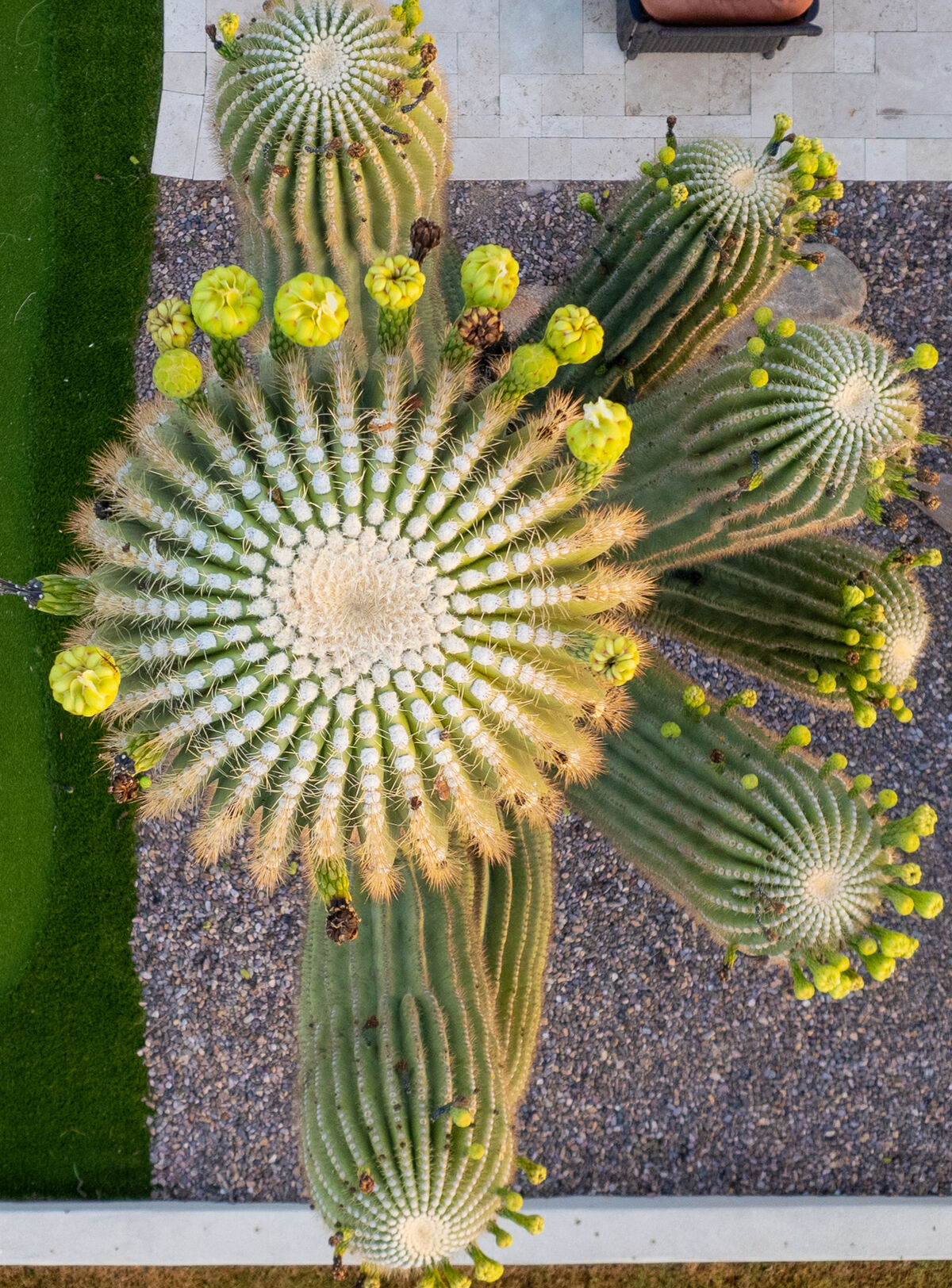 Twilight exterior, Mesa property at golden hour